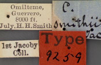 Media type: image; Entomology 9259   Aspect: labels